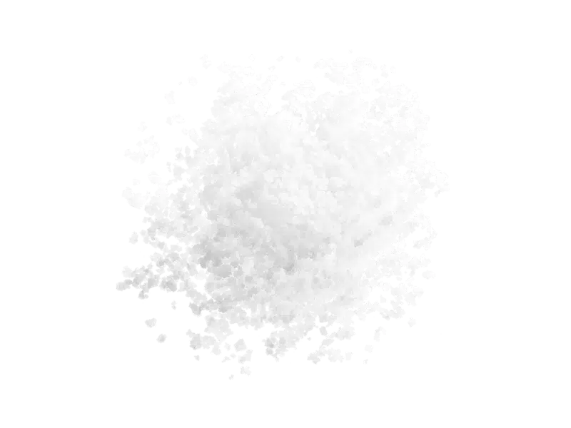 Sea Salt For The Food Service Sector 4 MOSES® fleur de sel
