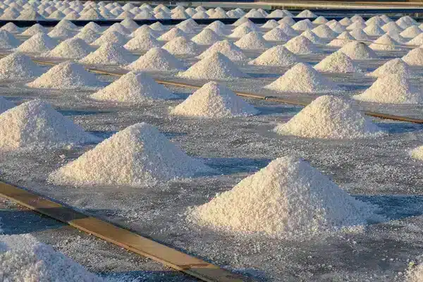 Réglementation française sur le sel biologique (bio sel) : voici les critères officiels 6 French regulation on organic salt (bio salt): these are the official criteria
