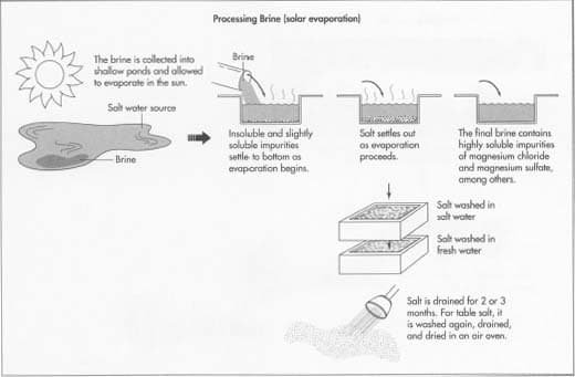 Why salt is an essential raw material in the production chain