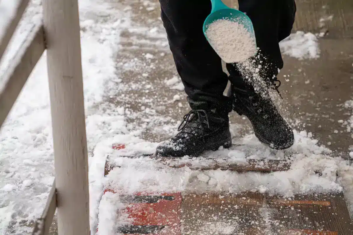Sel de voirie : première arme contre l'hiver, alimentée par une ressource naturelle égyptienne 2 Road Grit Salt: 1st Weapon Against Winter, Powered by Egypt’s Natural Resource