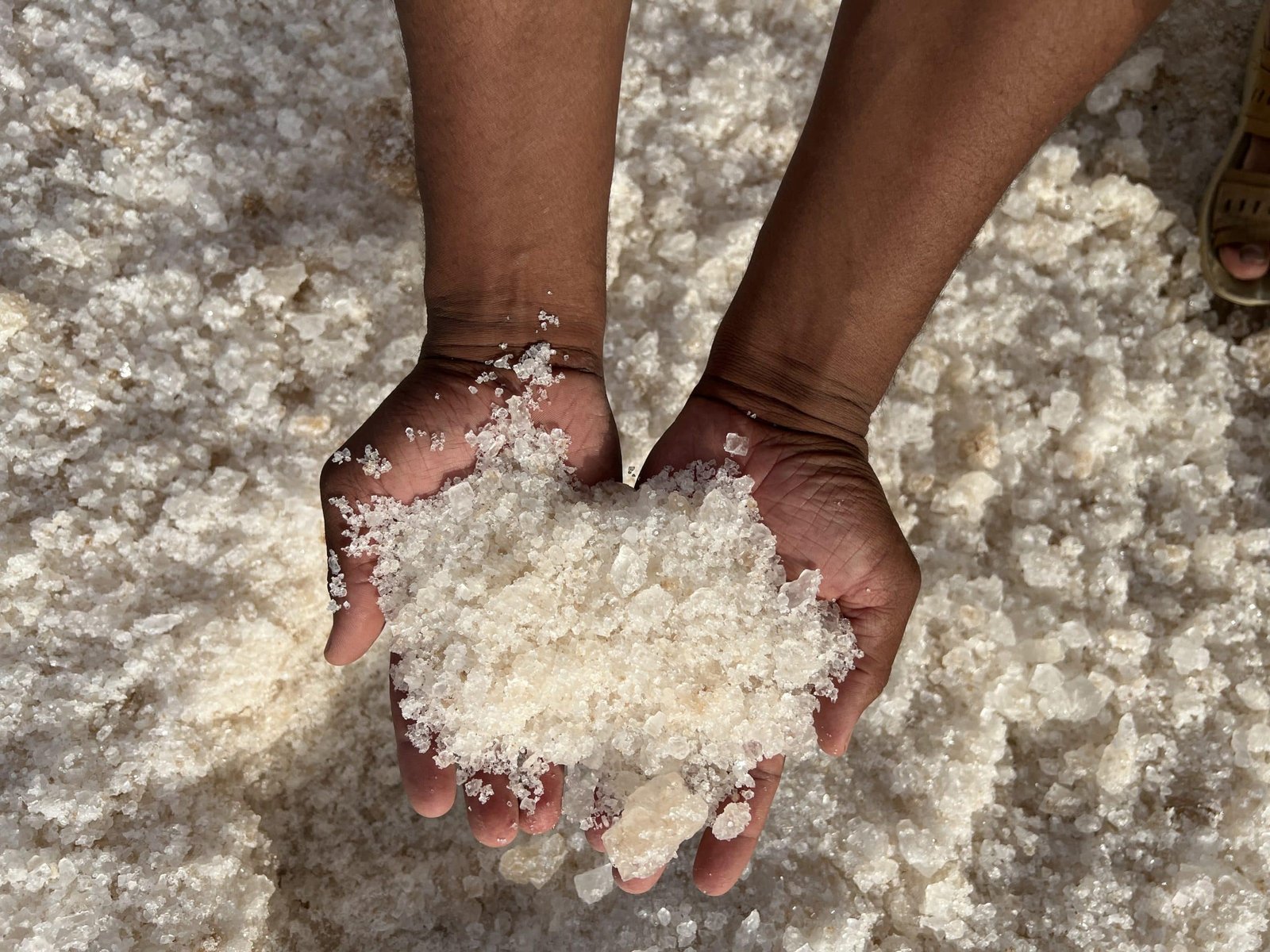 Sel gemme de Siwa : l'allié ancestral des pharaons. Découvrez le champion naturel de la sécurité hivernale. 3 Siwa Rock Salt 101 Pharaoh’s Ancient Ally. Unveil winter safety’s natural champion