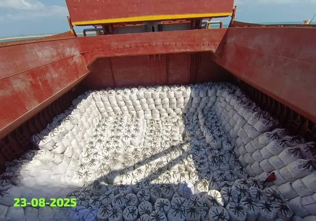 Gallary 2 36 salt